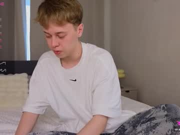 Bee_boy_, 19 years old, GOAL: Cum Show [750 tokens remaining] Welcome to my room! #new #twink #lovense #gay #bigcock, webcam photo