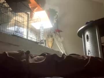 Feet Cams Live model Freakybubba, age 29 streaming Foot Fetish VR
