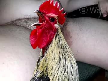 Watcher_9 • penis • Deep inside your vagina or mouth)). • public